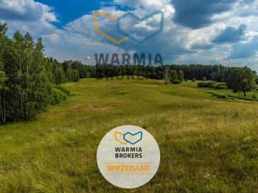 Działka Sprzedaż Dąbrówka Wielka