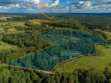Działka Sprzedaż Miejska Wola