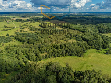 Działka Sprzedaż Miejska Wola