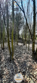 Działka Sprzedaż Dąbrówno