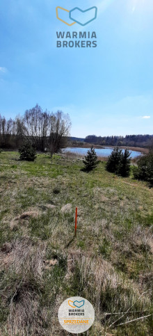 Działka Sprzedaż Dąbrówno 7