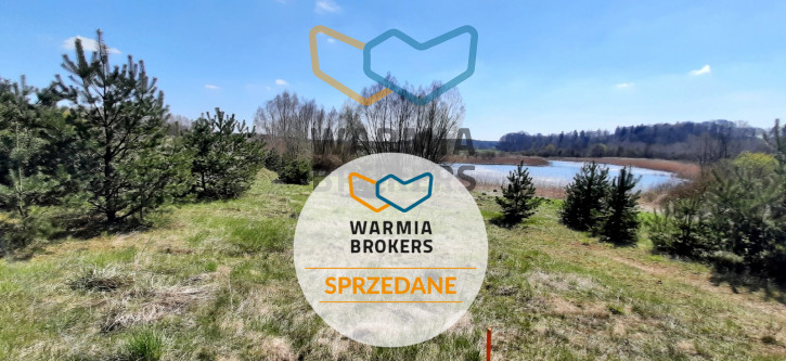 Działka Sprzedaż Dąbrówno 1