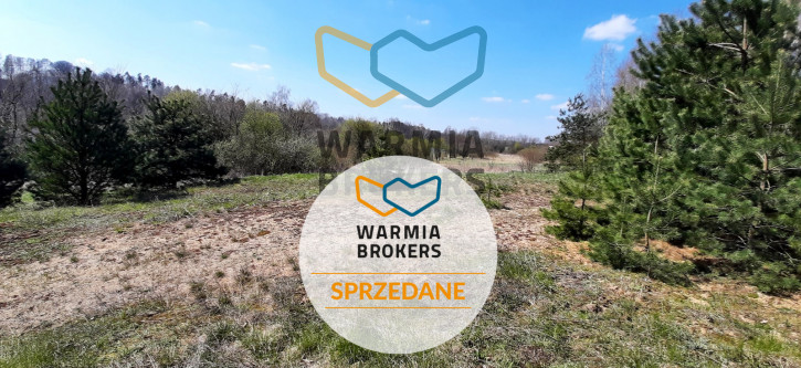 Działka Sprzedaż Dąbrówno 2