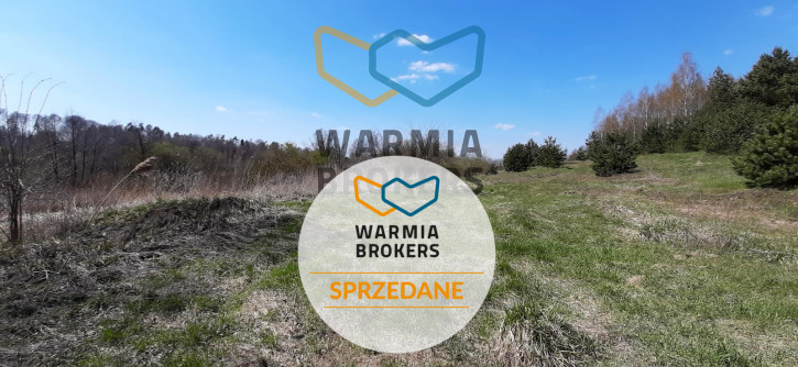 Działka Sprzedaż Dąbrówno 10