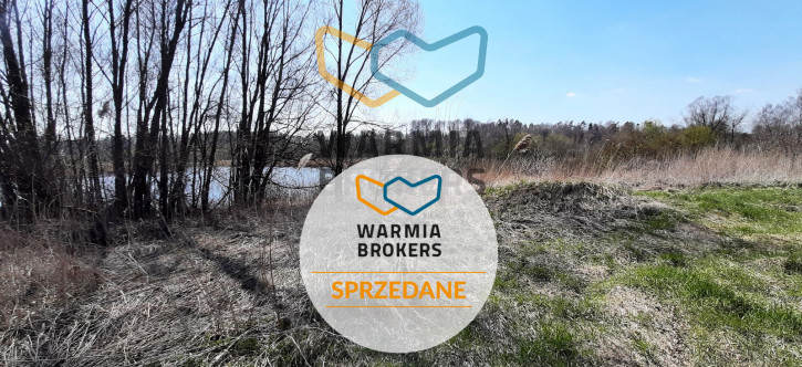 Działka Sprzedaż Dąbrówno 11