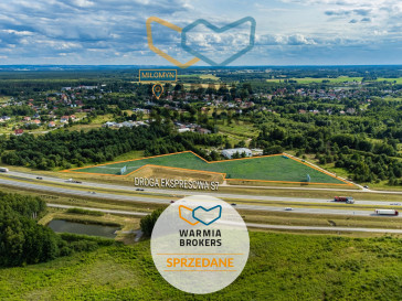 Działka Sprzedaż Miłomłyn Polna